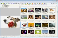 FastStone Image Viewer ФастСтоне Имаге Виевер — логотип